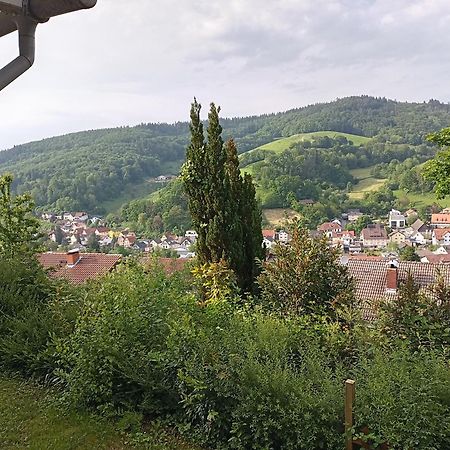 Das Tor Zum Odenwald Gorxheimertal Exterior foto